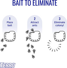 Load image into Gallery viewer, ITEM# 0184 Indoor Multi-Surface Liquid Ant Bait and Ant Killer - Kills Common Household Ants (Watch Video)