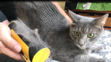 Load image into Gallery viewer, ITEM# 0192   King Komb | Multi-Use Deshedding Grooming Tool | Top &amp; Undercoat | Self Clean | Retractable Blades | 3 Metal Deshedding Edges | Rubber Bristles for Grooming | Large (Watch Video)

