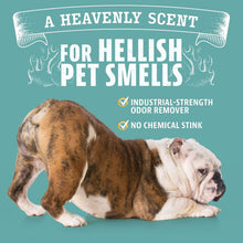 Load image into Gallery viewer, ITEM# 0069   ANGRY ORANGE Pet Odor Eliminator for Strong Odor - Citrus Deodorizer for Dog or Cat Urine Smells on Carpet, Furniture &amp; Floors - Puppy Supplies﻿ (Watch Video)
