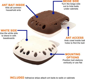 ITEM# 0184   Indoor Multi-Surface Liquid Ant Bait and Ant Killer - Kills Common Household Ants (Watch Video)