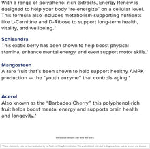 Load image into Gallery viewer, ITEM# 0084    Energy Renew Muscle Recovery and Cardiovascular Health Support Supplement, 30 Servings (Watch Video)
